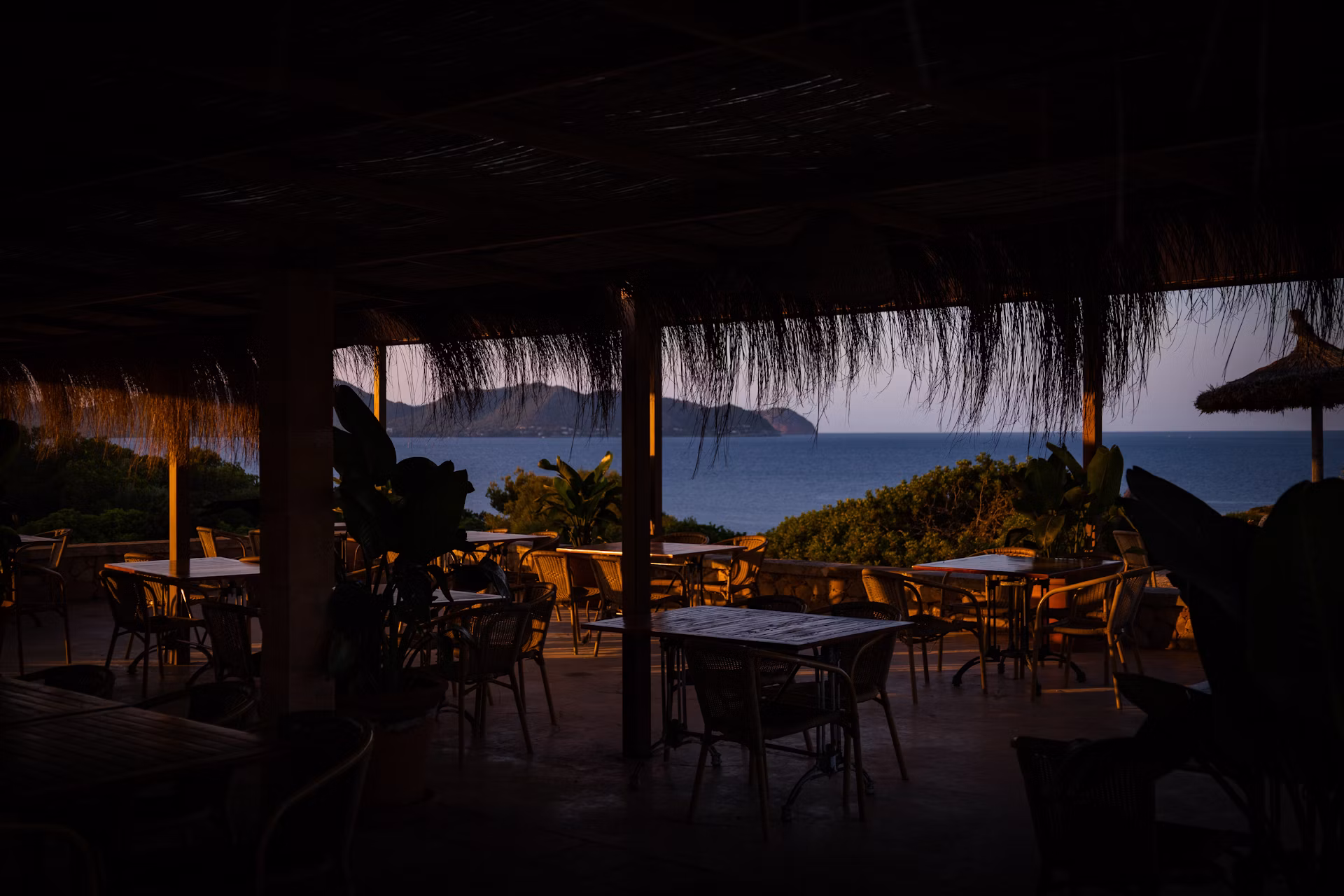La terrasse sous les canisses, face à la mer au couchant